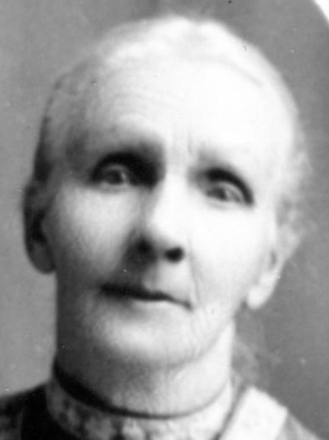 Ellen Flatt (1853 - 1914) Profile
